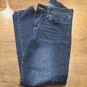 Banana Republic Blue Skinny Jeans Classic Denim Style